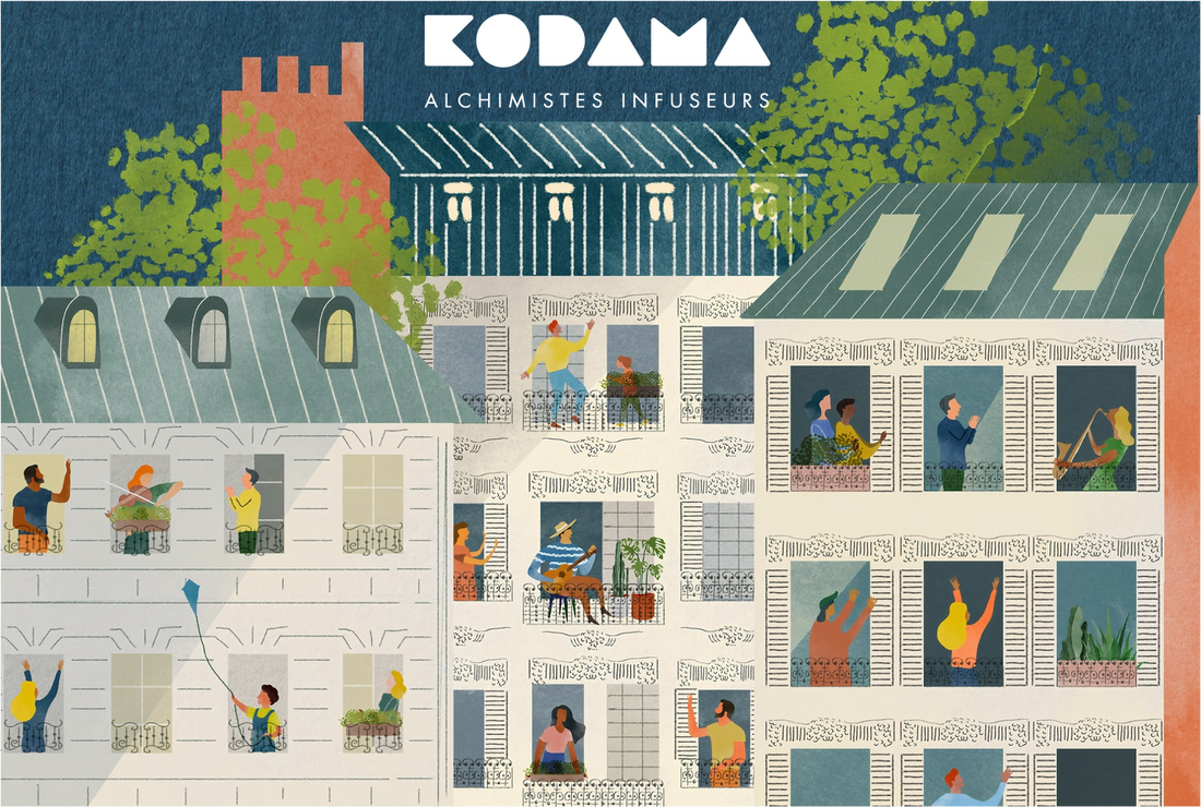 Les valeurs & les engagements de Kodama