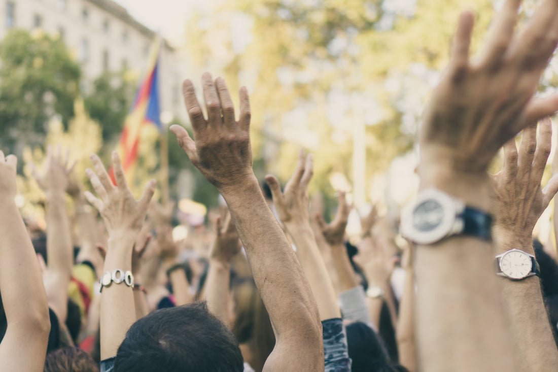 La Révolution Par-tisane