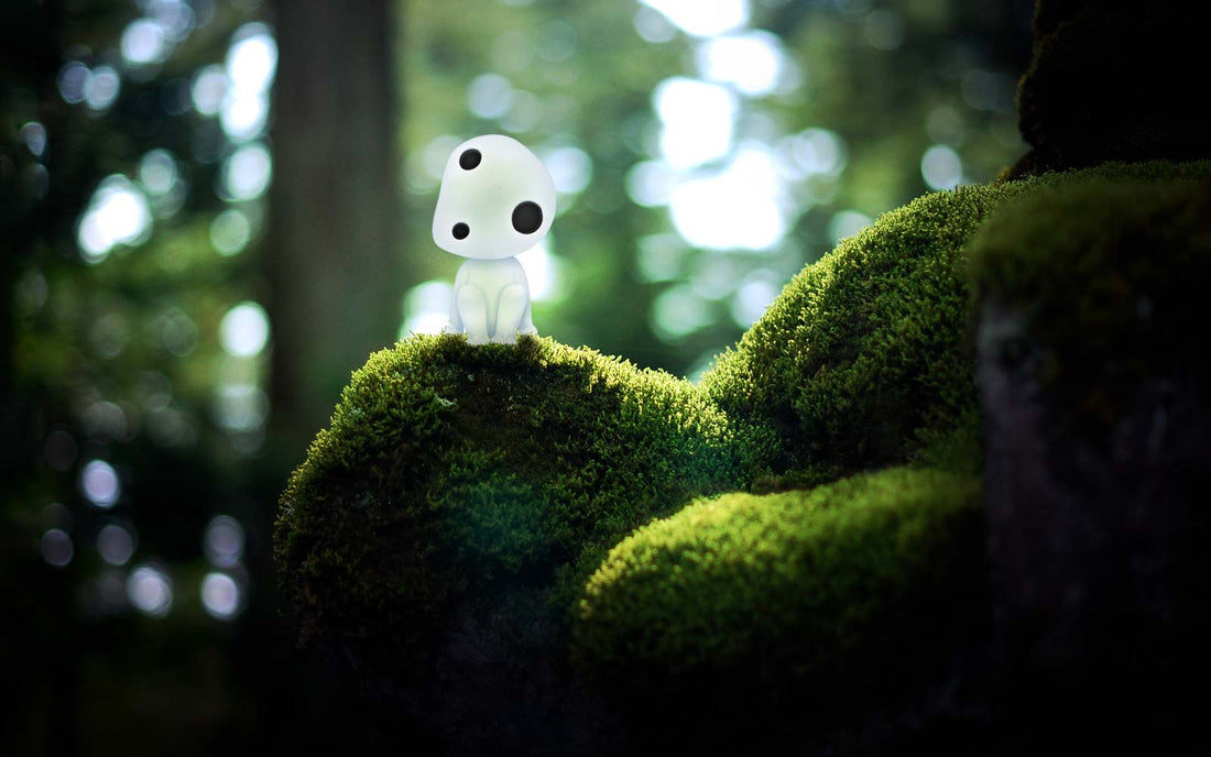 Kodama Miyazaki Japon