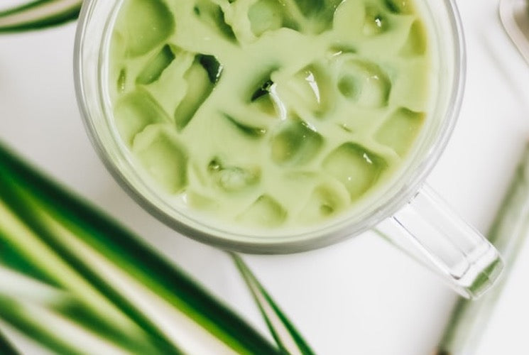 Matcha latte glacé : la recette des alchimistes de Kodama