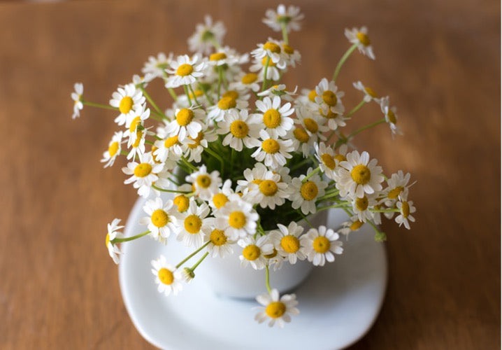 5 plantes contre le stress et la déprime
