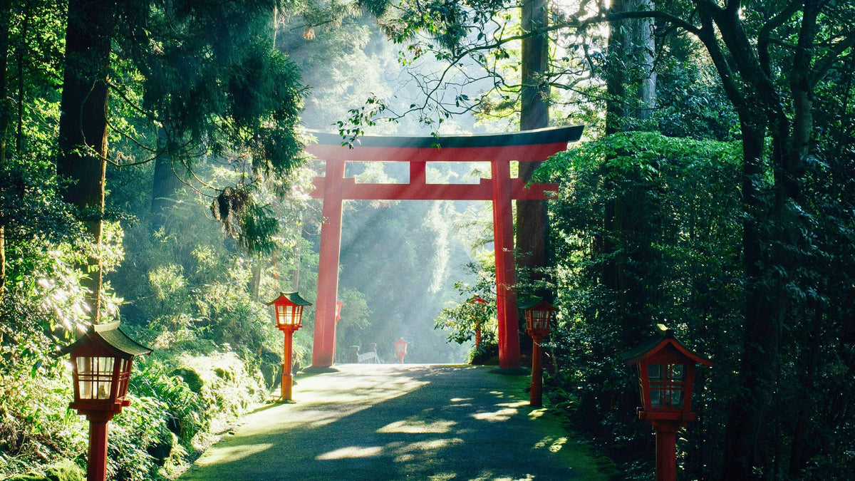 Thés du Japon