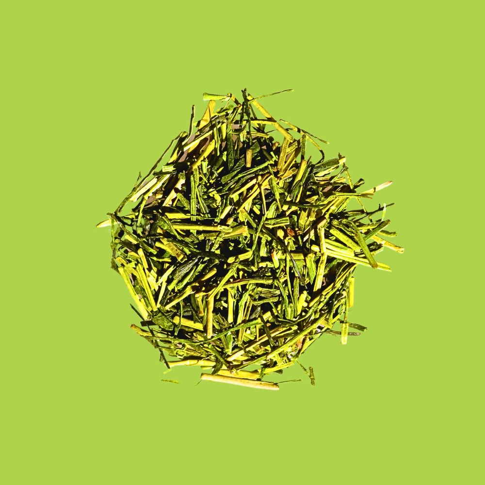 Kukicha bio thé vert japon nature morte komorebi