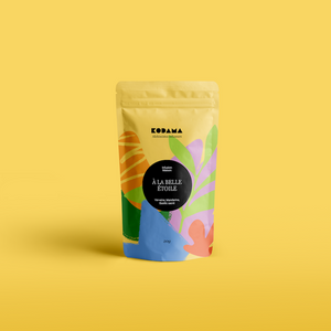 À La Belle Étoile – Infusion – Verveine, Mandarine, Basilic sacré – Kodama Paris - Pochette découverte
