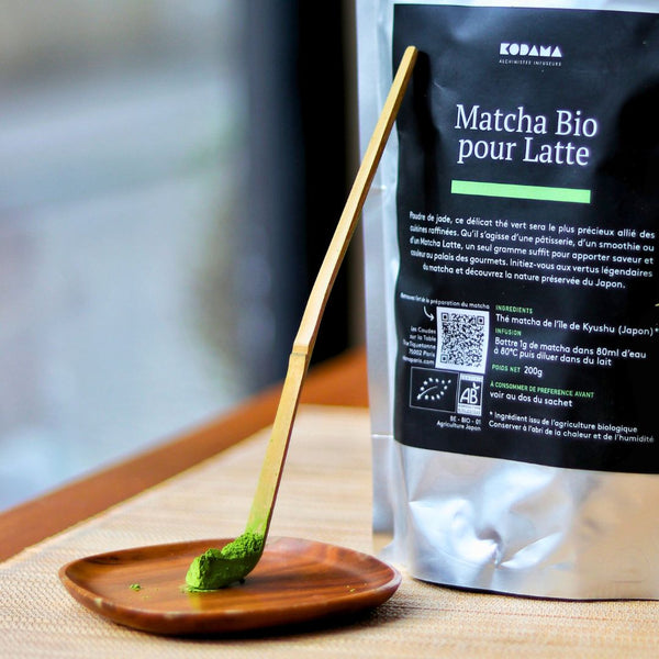 Cuillère à Matcha – Accessoire à thé – Chashaku pour les nippons – Kodama Paris - Cuilliere avec poudre de matcha