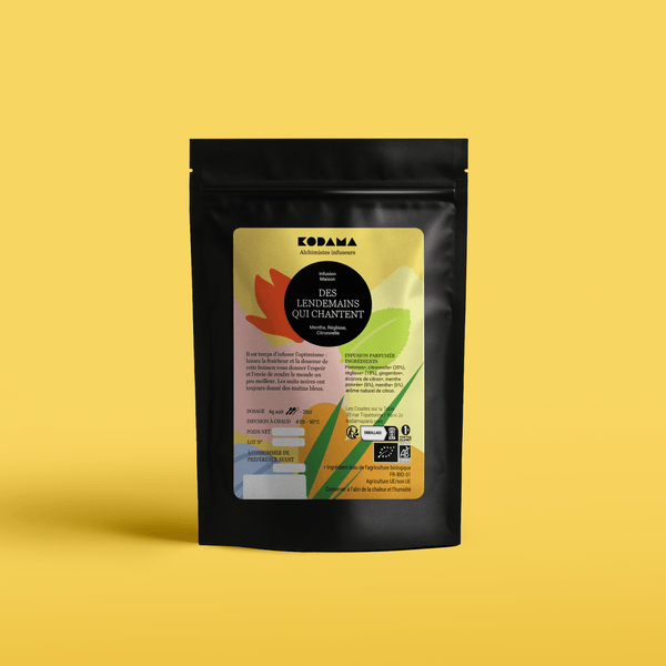 Des Lendemains qui Chantent Bio – Infusion – Menthe, Réglisse, Citronnelle – Kodama Paris - Pochette